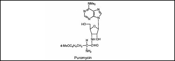 2’-Deoxypuromycin.jpg