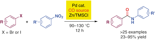 Palladium-Catalysed Reductive.gif