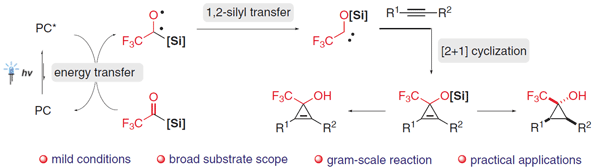 Visible-Light-Induced Organocatalyzed.gif