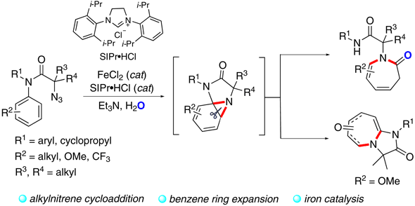 Iron-Catalyzed Benzene.gif