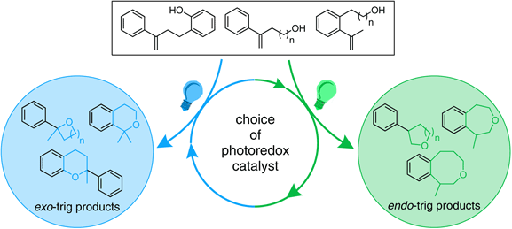 Complementary Photocatalytic.gif