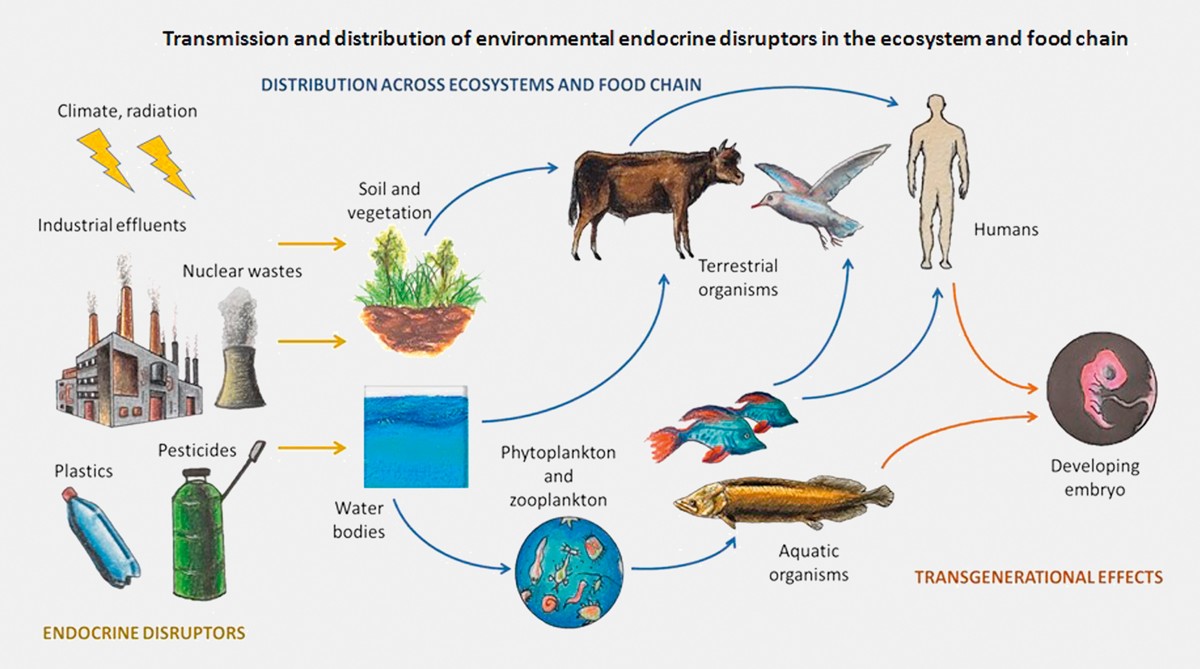 Climate Change and Obesity.jpg