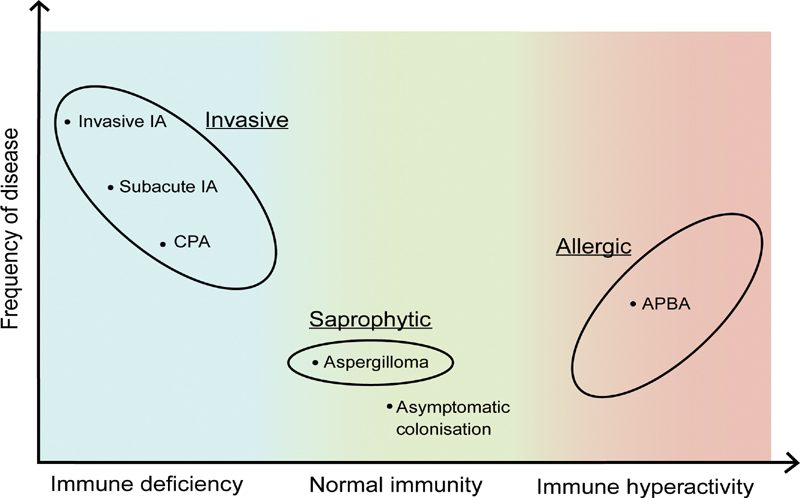 Aspergillus-Associated Endophenotypes.jpg