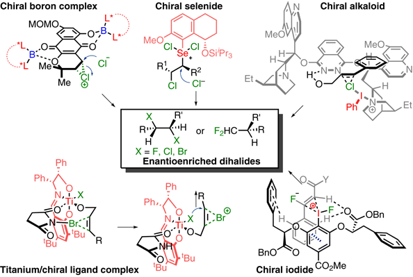 Catalytic Enantioselective.gif