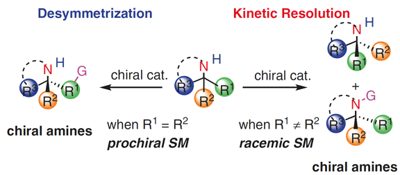 Catalytic Kinetic Resolution.gif