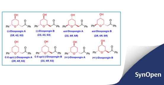 Synthetic Approaches.jpg