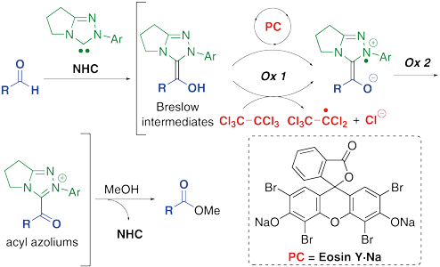 N-Heterocyclic Carbene.gif