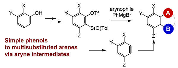 Synthesis of Multisubstituted.gif