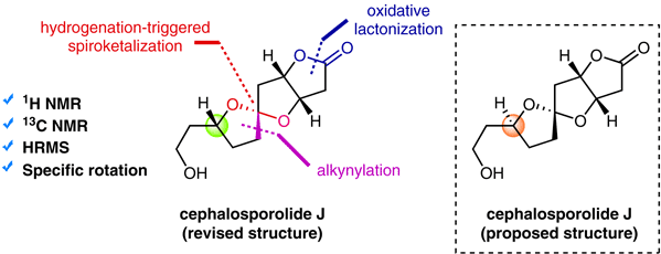 Total Synthesis.gif
