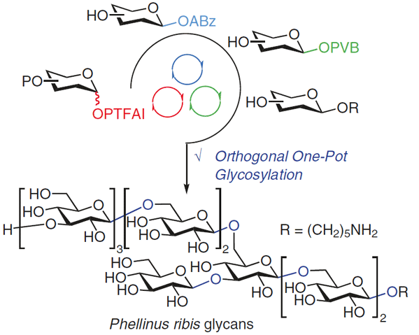 Total Synthesis of.gif