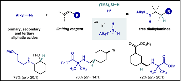 Aminium-Radical-Mediated.gif