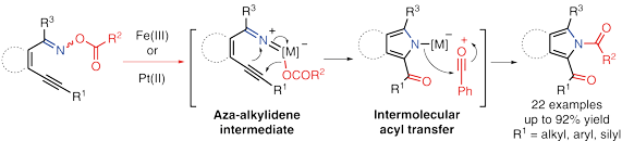 Synthesis of N-Acyl.gif