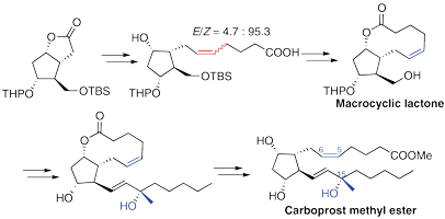 A Novel Synthesis.gif