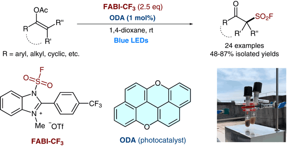 Photo-organocatalytic Synthesis.gif