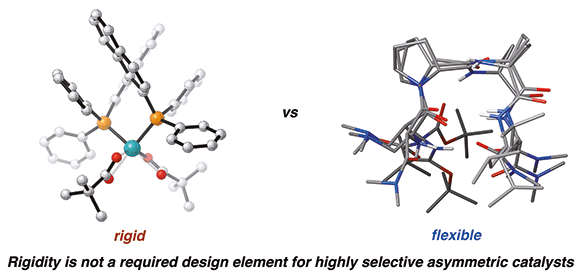 Conformational Dynamics.gif