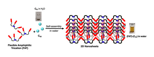 A Flexible Aromatic Amphiphilic.jpg