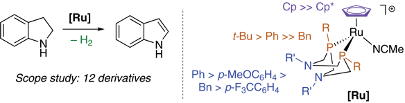 Catalyst Comparison for Additive-Free.gif