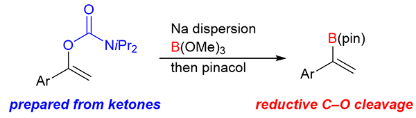 Borylation of Alkenyl Carbamates.gif