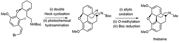 A Seven-Step Total Synthesis.gif