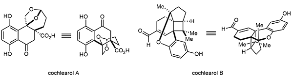 Synthetic Strategies.gif