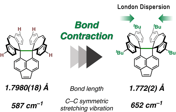 Ultralong C(sp3)–C(sp3) Single Bonds.gif