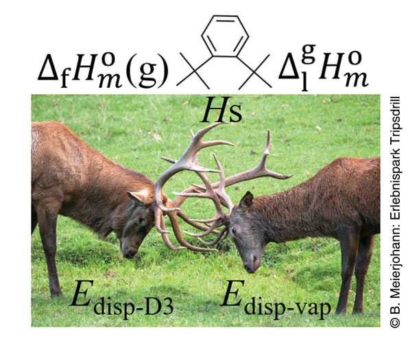 Noncovalent Interactions in Crowded Benzene.jpg