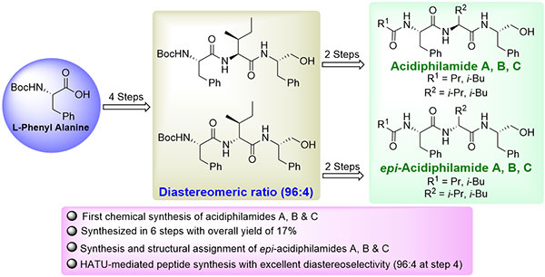 Synthesis of Acidiphilamide.jpg