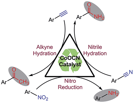 CN-Doped Cobalt Oxide Composite.gif