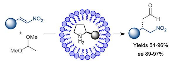 Organocatalytic Synthesis of.gif