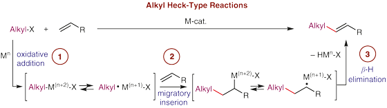 Transition-Metal-Catalyzed.gif