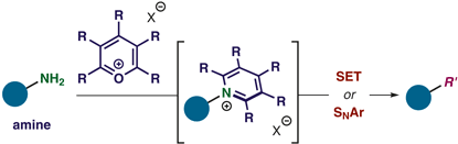 Pyrylium Salts Selective Reagents.gif