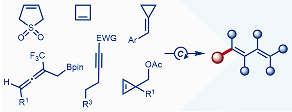 Catalytic Dienylation.gif