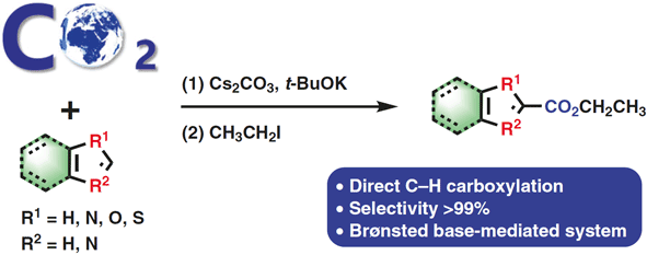 Base-Mediated Direct.gif