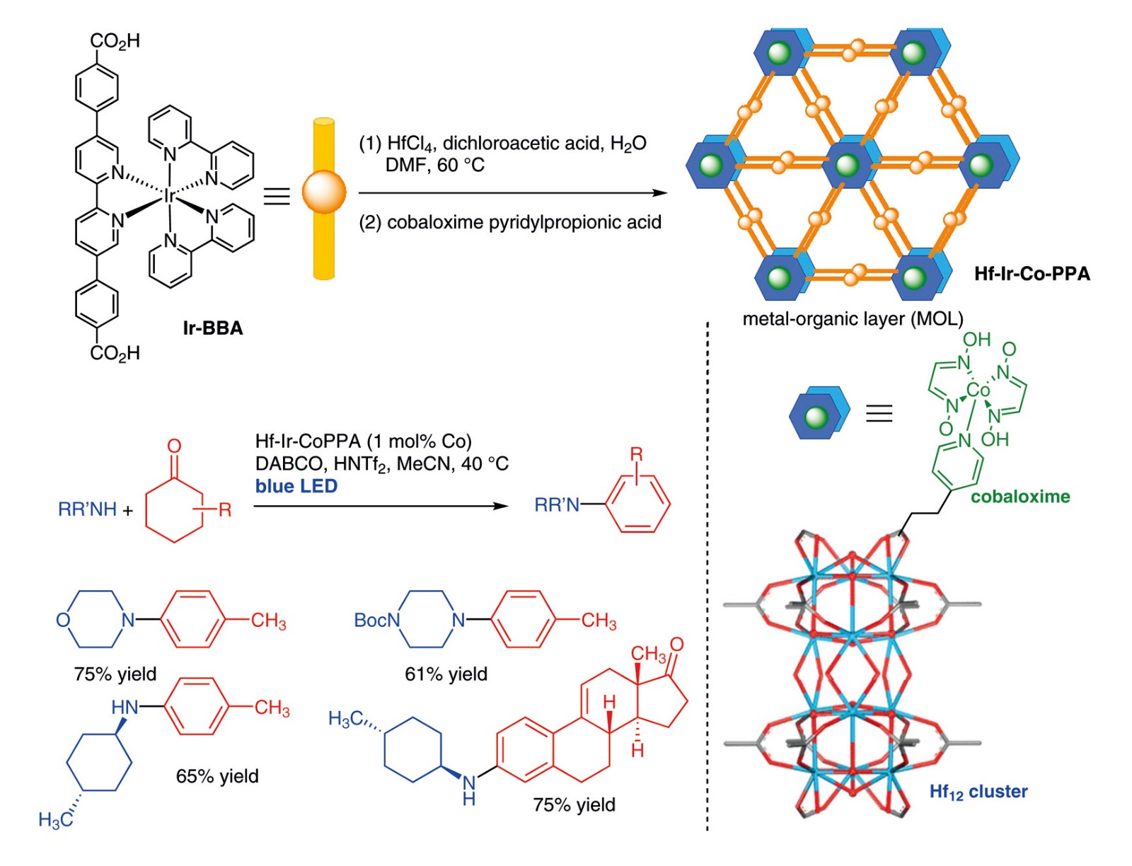 Photocatalytic Dehydrogenative.jpg