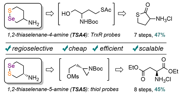 Efficient and Scalable Syntheses.gif