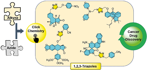 Recent Advancements in Triazole-based.gif