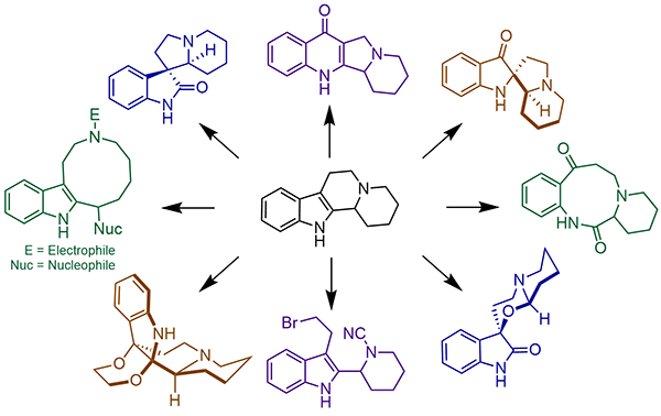 Chemical Reactions of Indole Alkaloids.gif