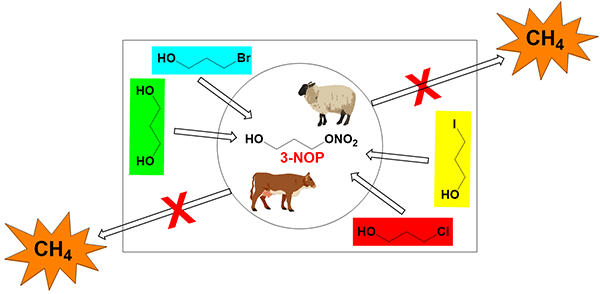 The Synthesis of 3-Nitrooxypropanol.gif