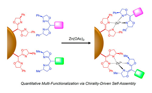 Multi-Functionalization of Solid Support.jpg