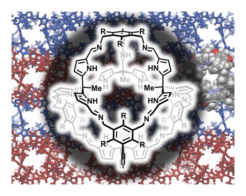 [4 + 4]-Imine Cage Compounds with Nitrogen-Rich.jpg