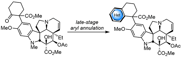 Aryl Annulation.gif