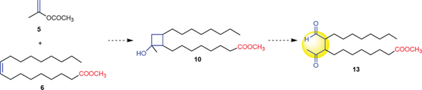 A Short and Facile [2 + 2] Photocycloaddition.jpg