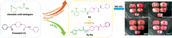 Design, Synthesis, and Neuroprotective Effects.jpg