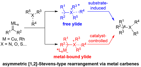 Recent Advances in Asymmetric [1,2]-Stevens-Type.gif