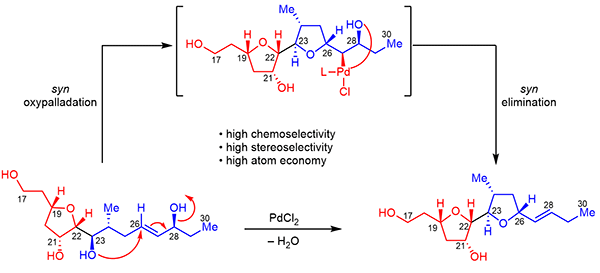 Synthesis of the C17–C30 Bis-THF Fragment.gif