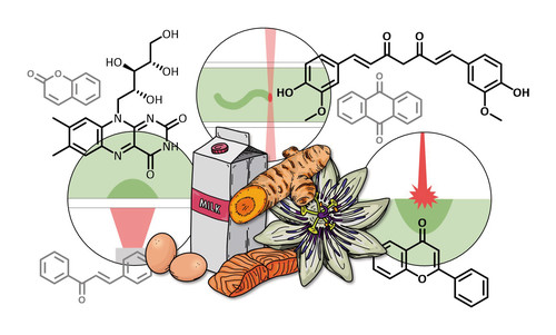 Natural and Naturally Derived Photoinitiating.jpg