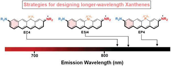 A Practical Synthesis of Near-Infrared.gif