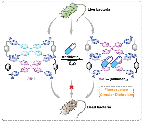 Dual Responses of Fluorescence and.gif