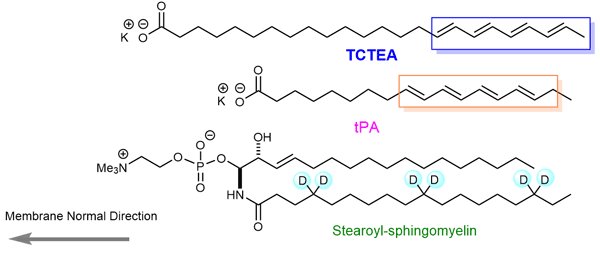A Fluorescent Probe for.gif