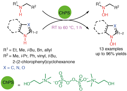 Selective Oxidation of Secondary Amines.gif